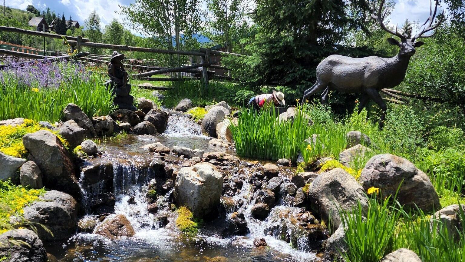 Water Features